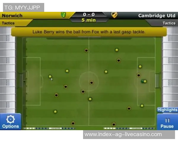 足球经理2018：打造属于你的足球王国，征战全球赛场的策略与挑战