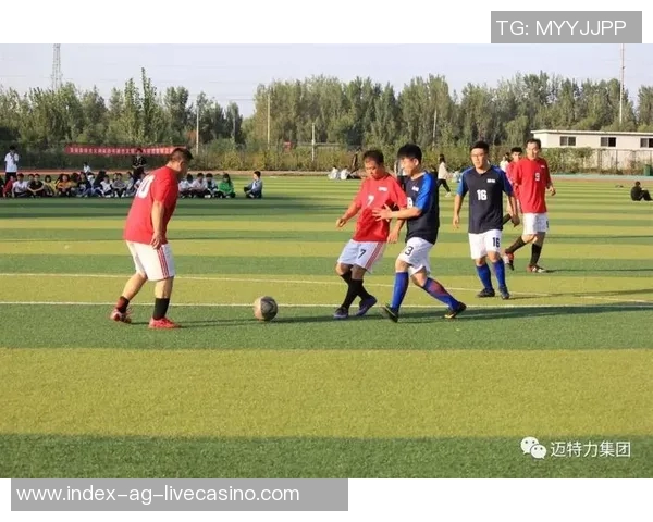 足球的重量与比赛表现之间的关系探讨与分析 足球的重量与比赛表现之间的关系探讨与分析