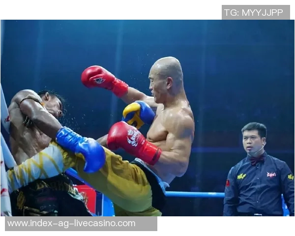 一龙与播求巅峰对决谁将成为武林新王荣耀之战即将开启